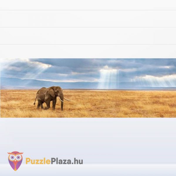 Elefánt a Szavannán Panoráma Puzzle 1000 db – Clementoni 39484 HQC kirakott képe