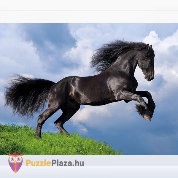 500 darabos fekete színű Fríz ló puzzle kirakott képe - Clementoni 35071