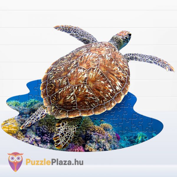 100 darabos teknős alakú forma puzzle kirakva