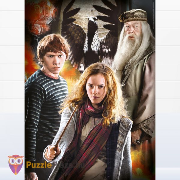 Harry Potter Multi Puzzle kirakó képe - 3 x 1000 db – Clementoni 61884