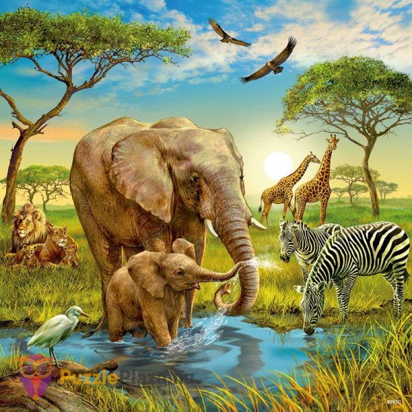 3 x 49 darabos világ állatai puzzle - afrikai állatok - Ravensburger 09330