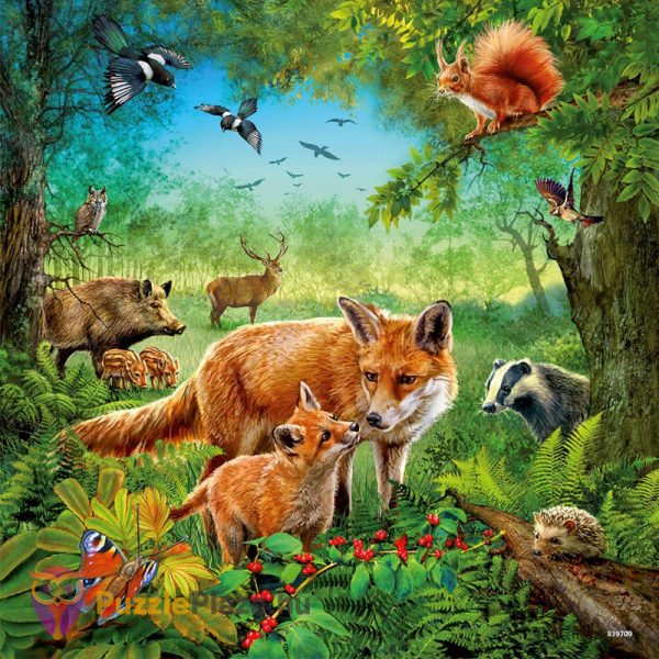 3 x 49 darabos világ állatai puzzle - erdei állatok - Ravensburger 09330