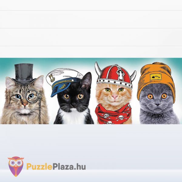 500 darabos bolyhos cicák csapat panoráma puzzle kirakott képe - Trefl 29504