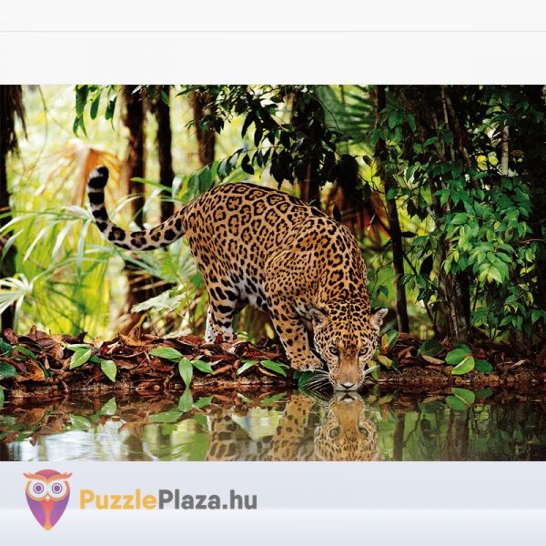 2000 darabos leopárd puzzle kirakott képe - Clementoni 32537 kirakó