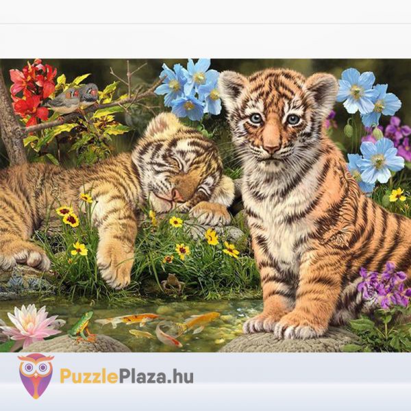 1000 darabos tigriskölykök titkos puzzle kirakott képe - Dino Secret 532779