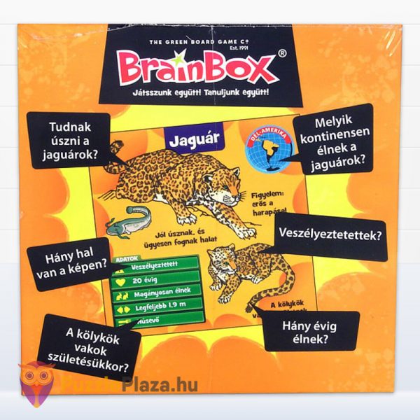 Brainbox: Állatok memóriajáték doboza jobbról