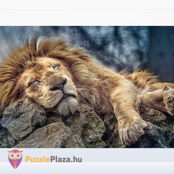Alvó oroszlán puzzle képe, 1000 db (Trefl 10447)