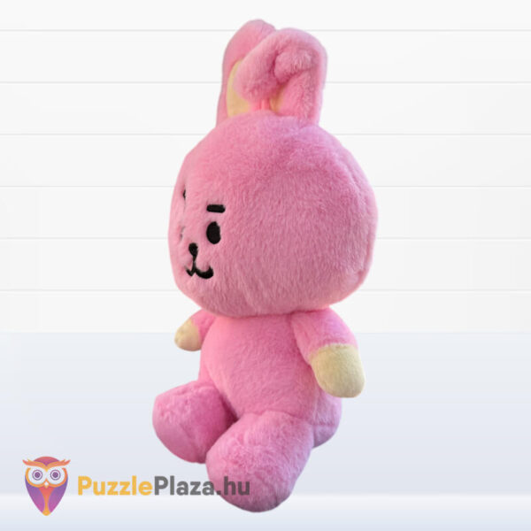 BT21: Cooky, a rózsaszín plüss nyúl, 26 cm, Jungkook karaktere balról