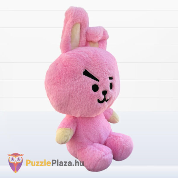 BT21: Cooky, a rózsaszín plüss nyúl, 26 cm, Jungkook karaktere jobbról